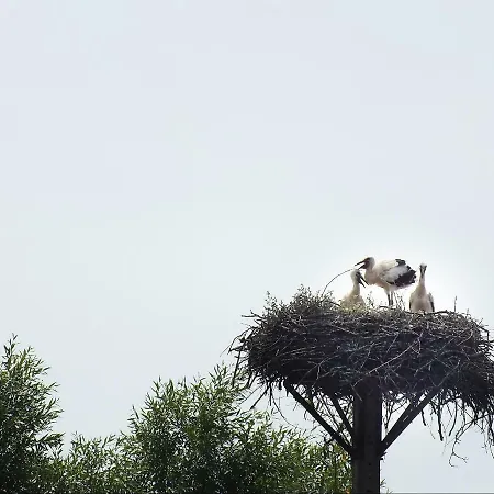 Agroturystyka Pod Kogutem Dziwnowek Exterior photo
